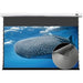 VIVIDSTORM Ceiling Mount Obsidian Long Focus ALR Deluxe Motorized Standard Throw Projector Screen