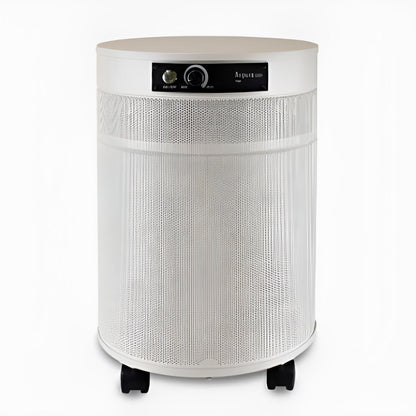 Airpura T700DLX Air Purifier for Smoke