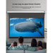 VIVIDSTORM Ceiling Mount Obsidian Long Focus ALR Deluxe Motorized Standard Throw Projector Screen