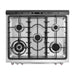 ROBAM 30-Inch 5 Cu. Ft. Oven Freestanding Gas Range, 5 Sealed Brass Burners in Stainless Steel - 7GG10