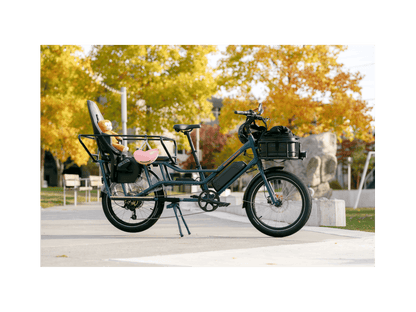 RadWagon™ Electric Cargo Bike - 102-00051