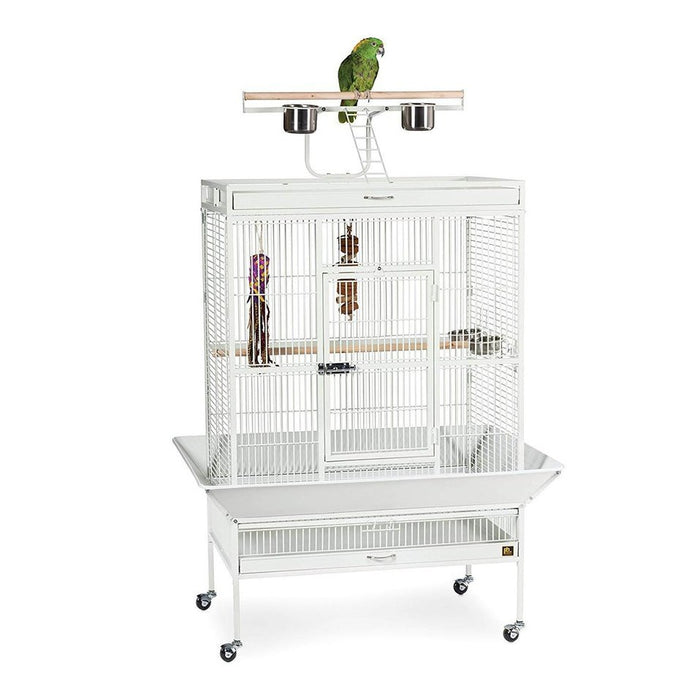 Prevue Pet Select Wrought Iron Play Top Parrot Cage - 3154BLK