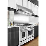 NXR 48 in. Professional Under Cabinet Stainless Steel Range Hood, - RH4801