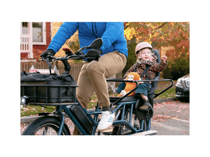 RadWagon™ Electric Cargo Bike - 102-00051
