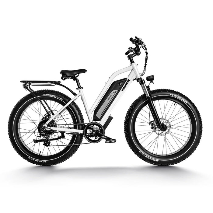 Himiway D3 ST Cruiser ST | D3 ST | All Terrain Step Thru Electric Bike - HIMST/D3ST