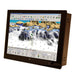 Seatronx 18.5" Wide Screen Sunlight Readable Touch Screen Display SRT-185W - CWR-91924