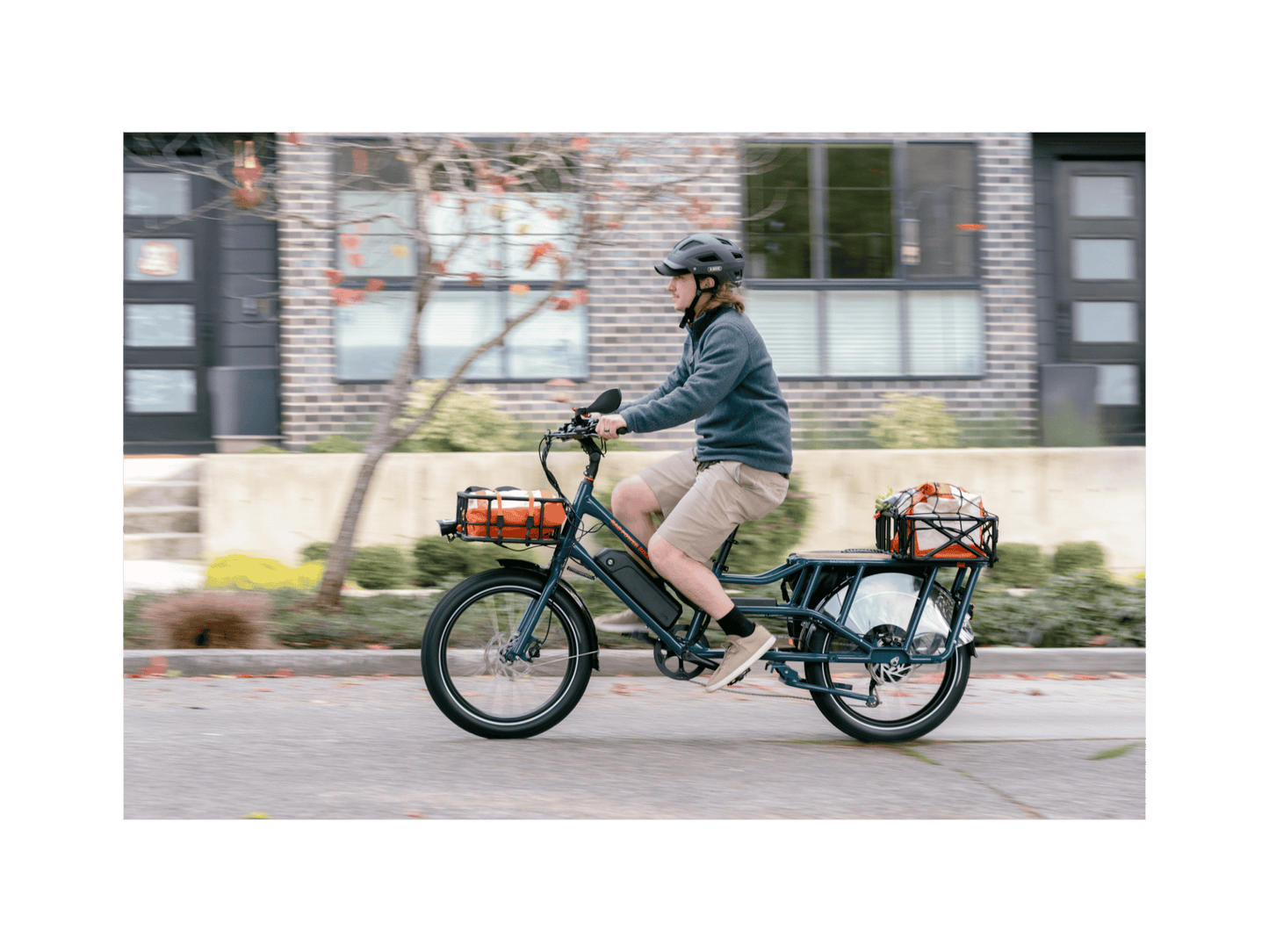 RadWagon™ Electric Cargo Bike - 102-00051