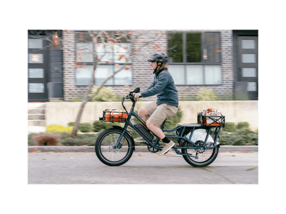 RadWagon™ Electric Cargo Bike - 102-00051