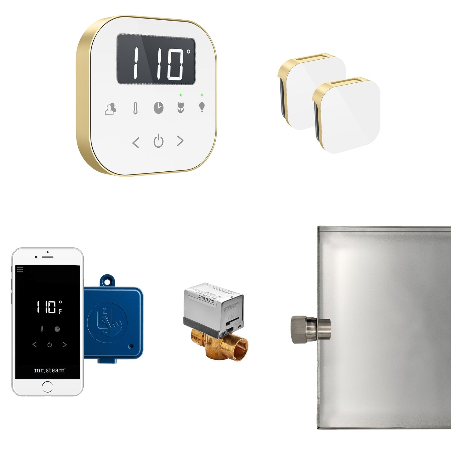 Mr. Steam AirButler Max Steam Generator Control Bundle - ABUTLERXB-BB