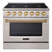 Akicon 36" Slide-in Freestanding Professional Style Gas Range with 5.2 Cu. Ft. Oven, 6 Burners, Convection Fan, Cast Iron Grates. Stainless Steel & Gold - AK-JK36A1-SG