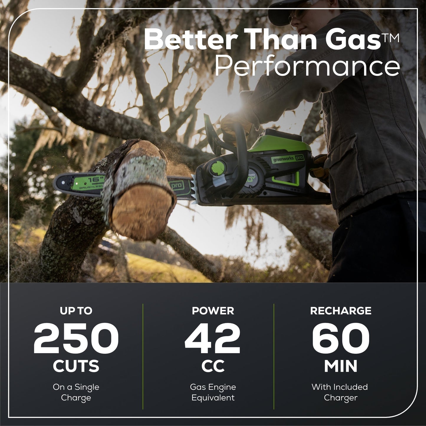 Greenworks 80V 16‘’ 2.0kW Cordless Battery Chainsaw w/ 4.0 Ah Battery & Charger - 2009602