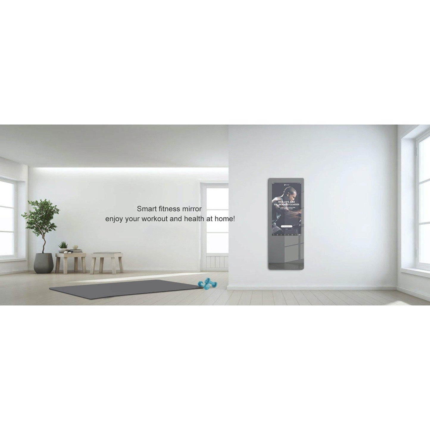 Aquadom Energy 18" X 48" Smart Fitness Mirror - NRG-1848