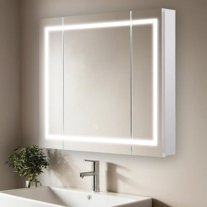 Aquadom Royale Plus 48" x 30" LED Lighted Medicine Cabinet With Defogger, Integrated LED 3X Magnifying Mirror and Electrical Outlet With USB - RP3-4830-N