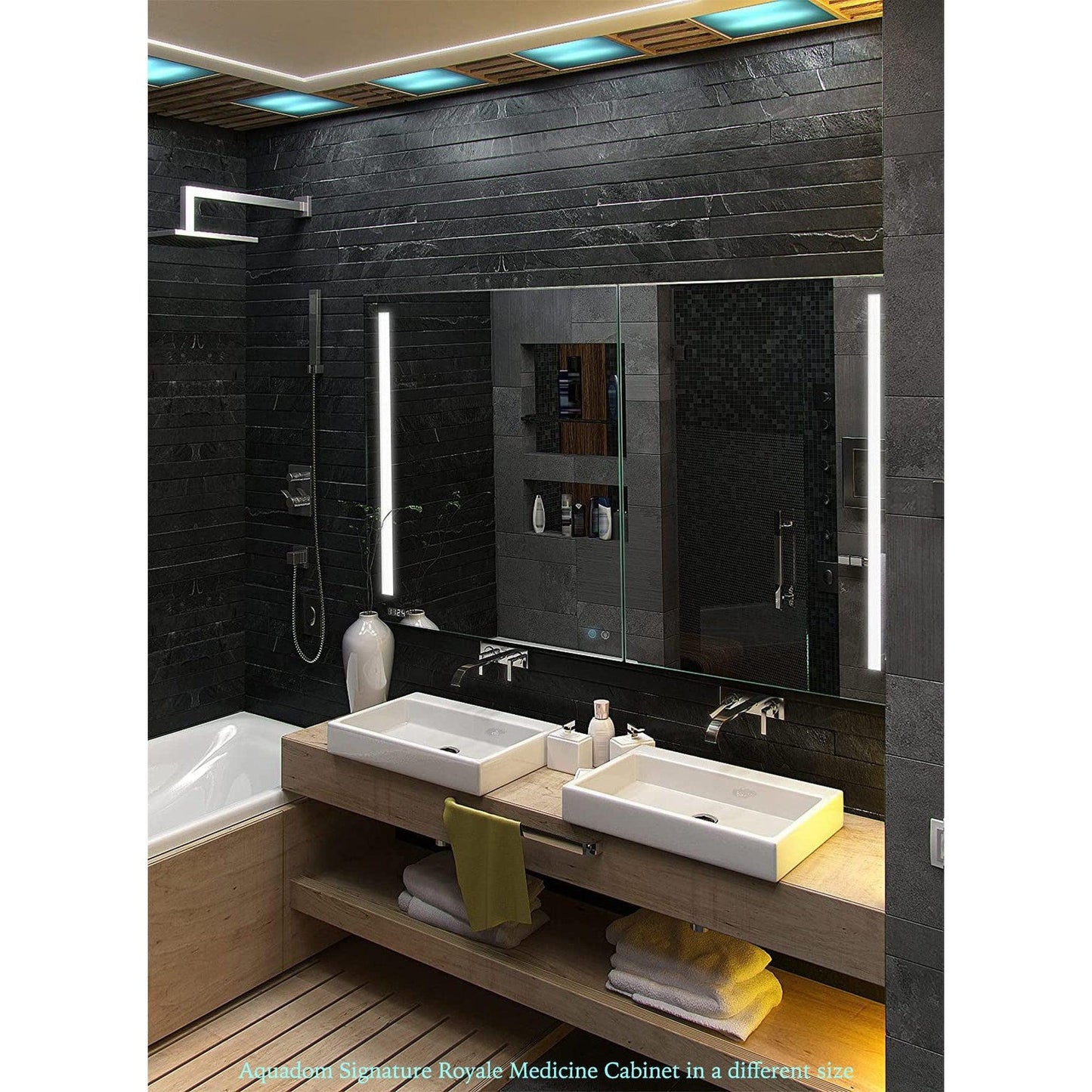 Aquadom Signature Royale Single View 24" x 40" Rectangular Left Hinged Medicine Cabinet With Lighting, Defogger, Integrated LED 3X Magnifying Mirror And Electrical Outlet with USB - SR-2440L-N