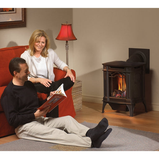 Napoleon Fireplaces Arlington Direct Vent Millivolt Gas Stove, Majolica Brown, Black, Napoleon, 19.25", GDS20NNSB