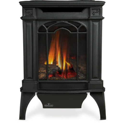 Napoleon Fireplaces Arlington Direct Vent Stove, Natural Gas, Electronic Ignition Black, Napoleon, 19.25", GDS20NE