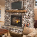 Napoleon Fireplaces Ascent Multi-View See-Thru Direct Vent Gas Fireplace, Napoleon, 45", BHD4STGN