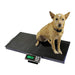 Avante Veterinary Scale - 12437