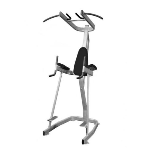 Muscle D Vertical Knee Raise with Pull Up Station BM-VKRC