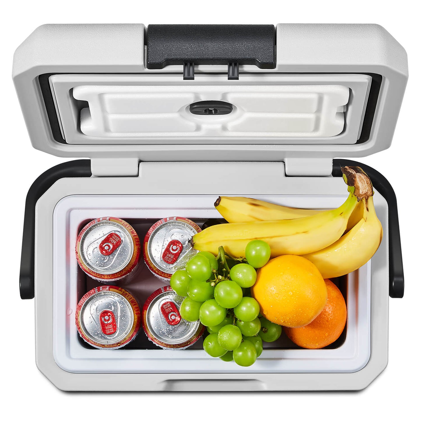 Earth Day Sale-BODEGAcooler Mini 12V Portable Freezer P8 9Qt/8L - P8-1