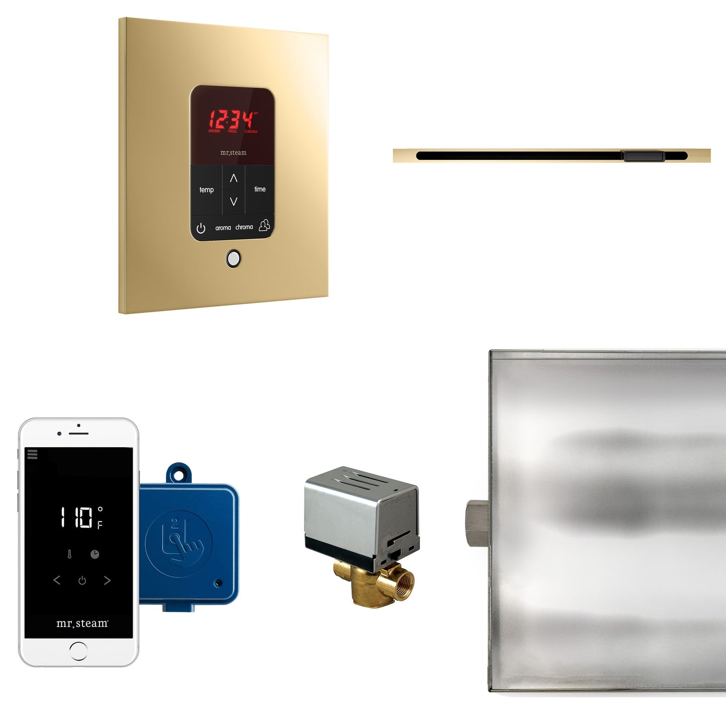 Mr. Steam Butler Linear Steam Generator Control Kit - BTLRL1RBB