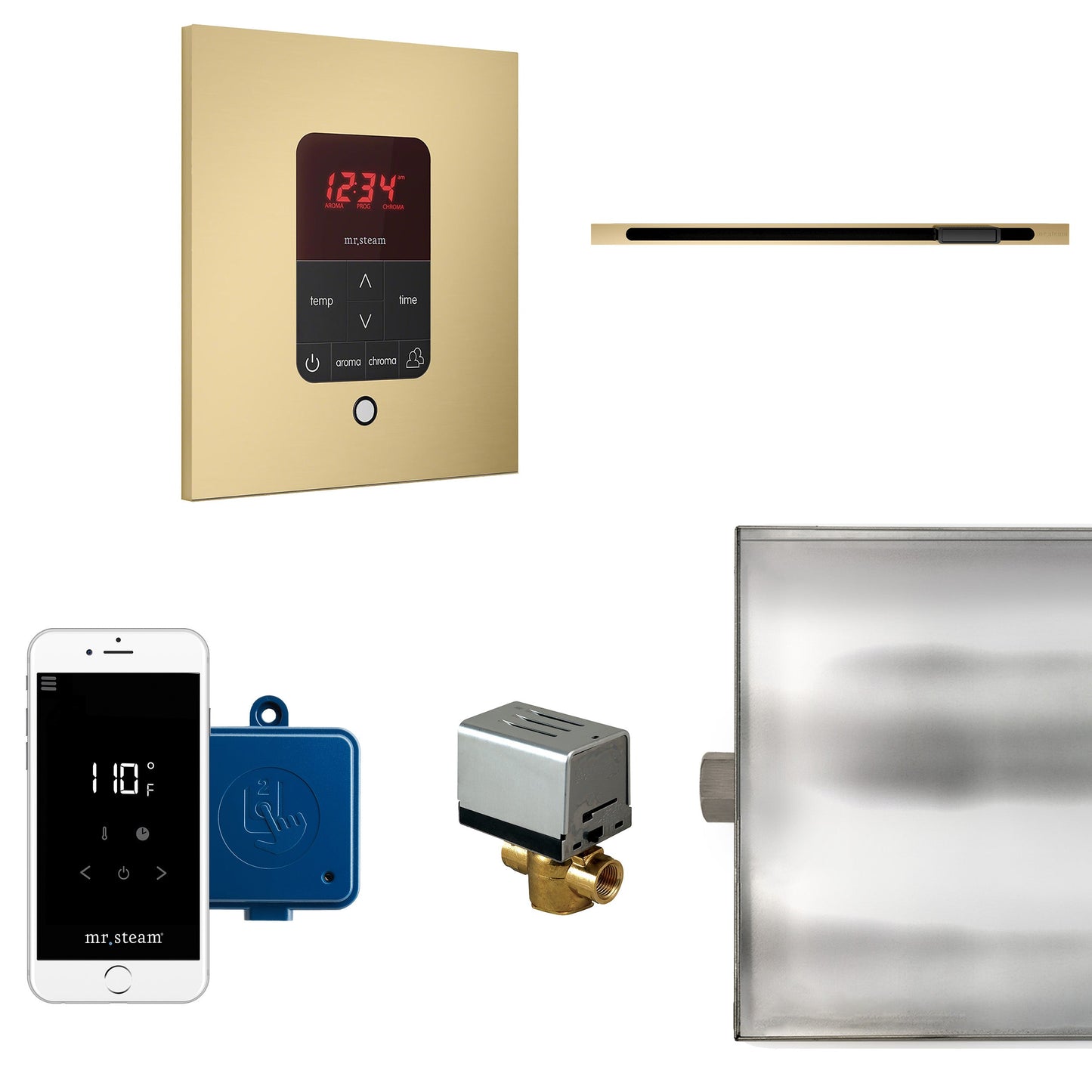 Mr. Steam Butler Linear Steam Generator Control Kit - BTLRL1RBB