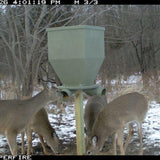 Banks Outdoors The FeedBank 300 Gravity Deer Feeder - FB300