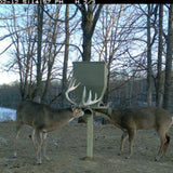 Banks Outdoors The FeedBank 300 Gravity Deer Feeder - FB300