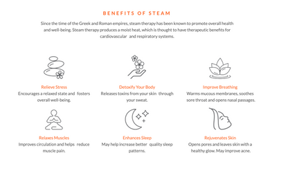 ThermaSol Steam Shower Kit - The Total Wellness Package with 10" ThermaTouch