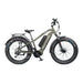 Biktrix 2024 Juggernaut CLASSIC DUO Step-Over 750W Mid-Drive Electric Bike