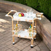 Butler Specialty Selena Rattan Bar Cart - 5397295