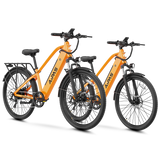 Aipas Ebike Combo Sale C2*2 - Aipas-C2combo-Black+Black