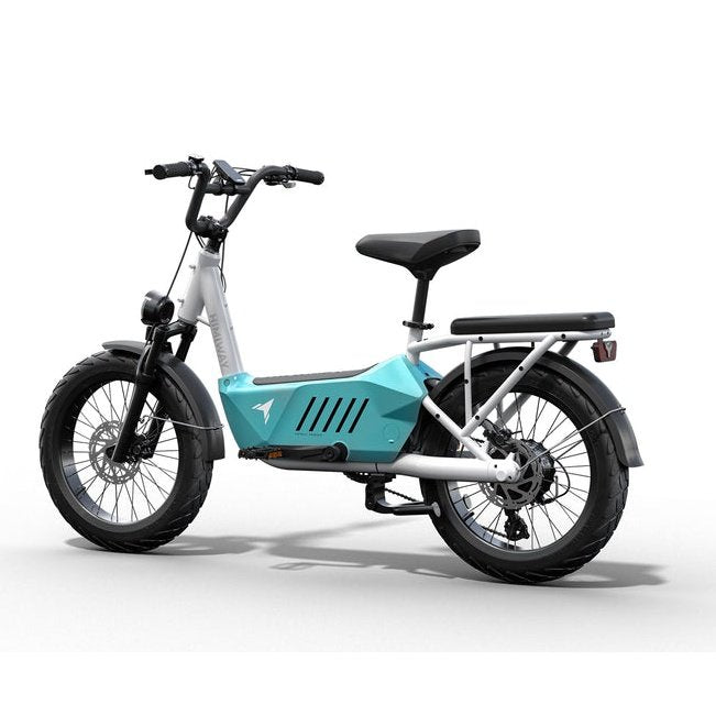 Himiway C3 | Cargo Ebike