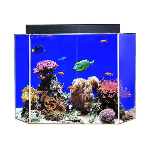 Clear for Life Acrylic UniQuarium Pentagon Aquarium - 50 Gallon - UNI-PENT-50-Sapphire