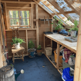 Cedarshed Sunhouse Western Red Cedar Greenhouse - SH88