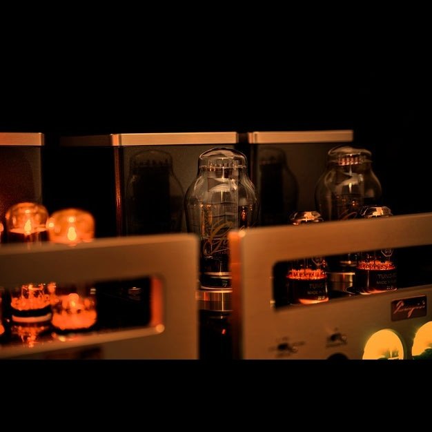 Cayin HA-300MK2 Vacuum Tube Headphone Amplifier - Backyard Provider