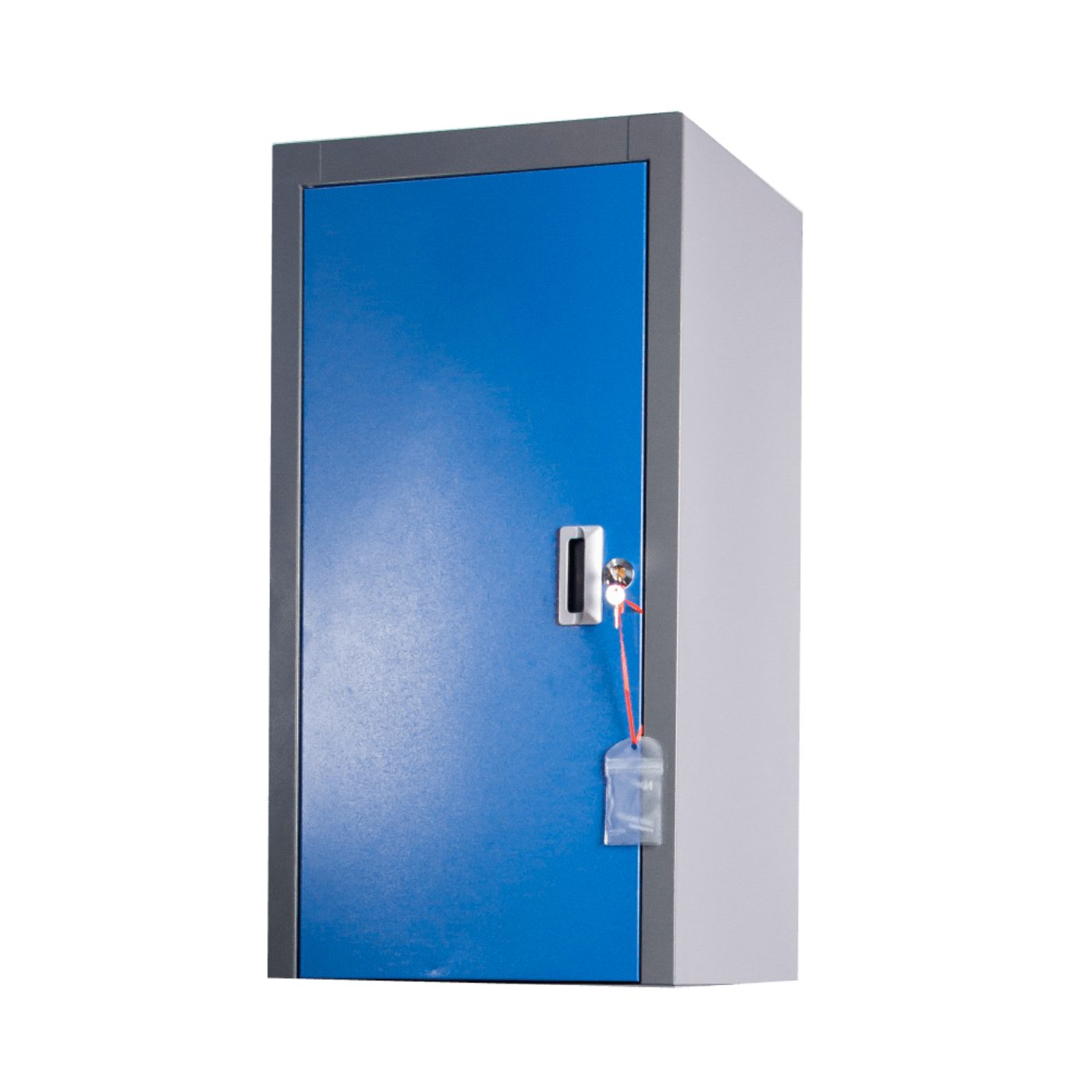 Chery Industrial [AS-IS] Lockable Storage Cabinet with Adjustable Shelf - D_JINWB1081BLLT