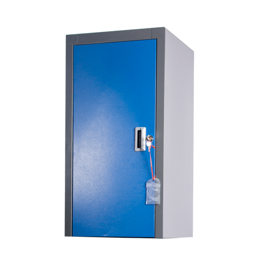 Chery Industrial [AS-IS] Lockable Storage Cabinet with Adjustable Shelf - D_JINWB1081BLLT