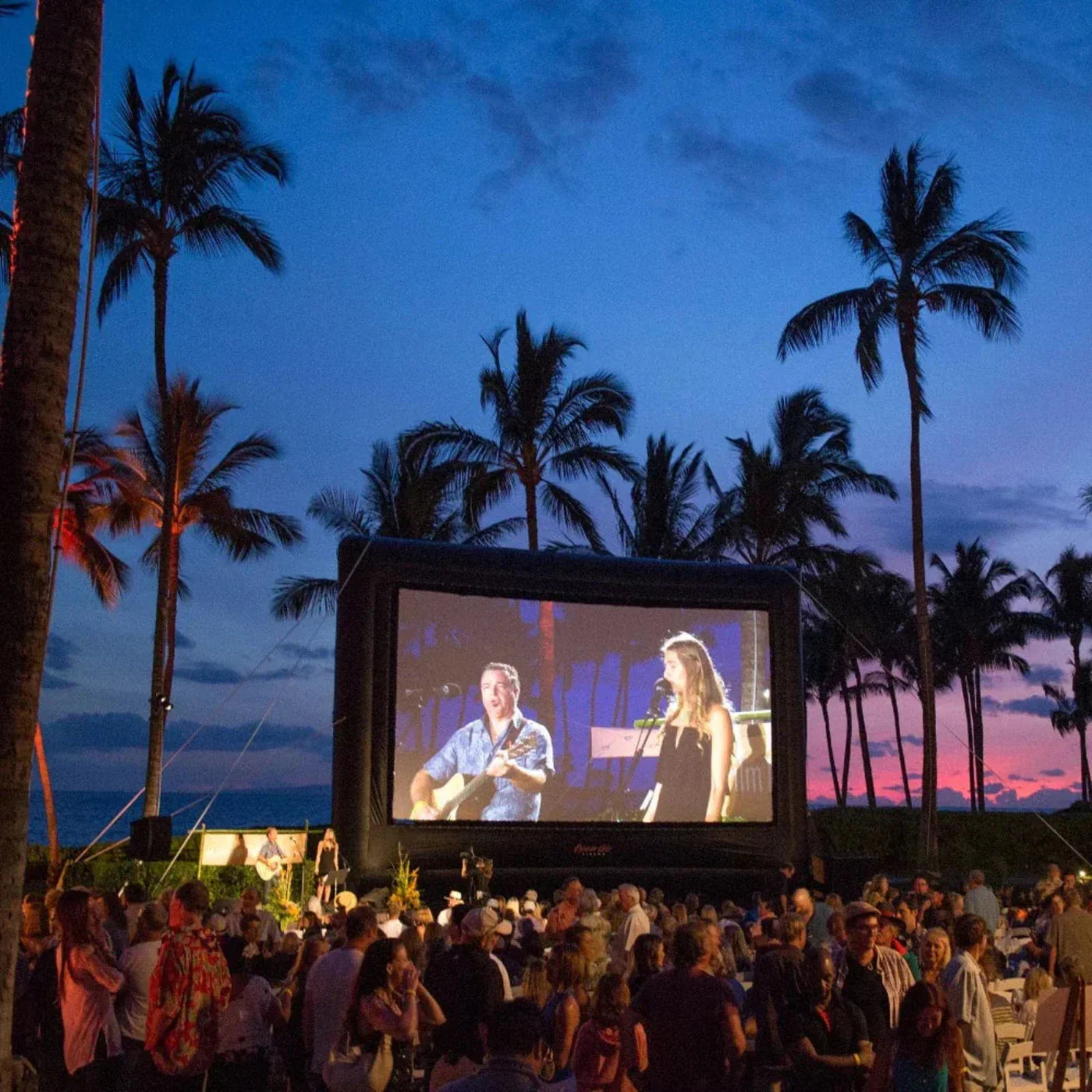 Open Air Cinema Elite Outdoor Movie Screen Kit - E-25