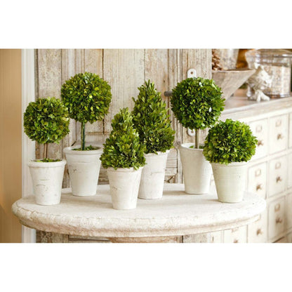 Park Hill Collection Garden Floral Collection of Boxwood Topiaries, Set of 6, Assorted Sizes - EBD80076