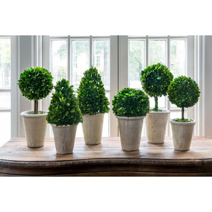 Park Hill Collection Garden Floral Collection of Boxwood Topiaries, Set of 6, Assorted Sizes - EBD80076