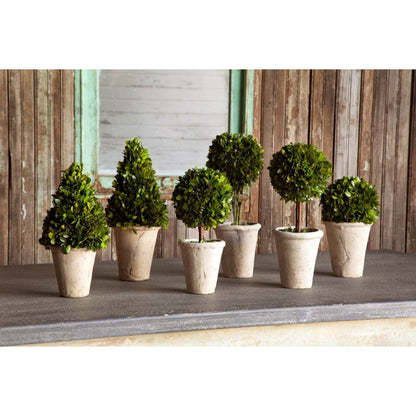 Park Hill Collection Garden Floral Collection of Boxwood Topiaries, Set of 6, Assorted Sizes - EBD80076