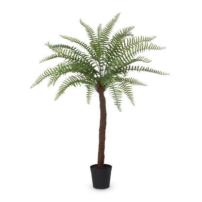 Park Hill Collection Garden Floral Giant Tree Fern in Growers Pot, 83" - EBQ26091