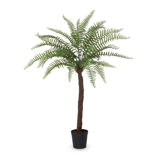 Park Hill Collection Garden Floral Giant Tree Fern in Growers Pot, 83" - EBQ26091