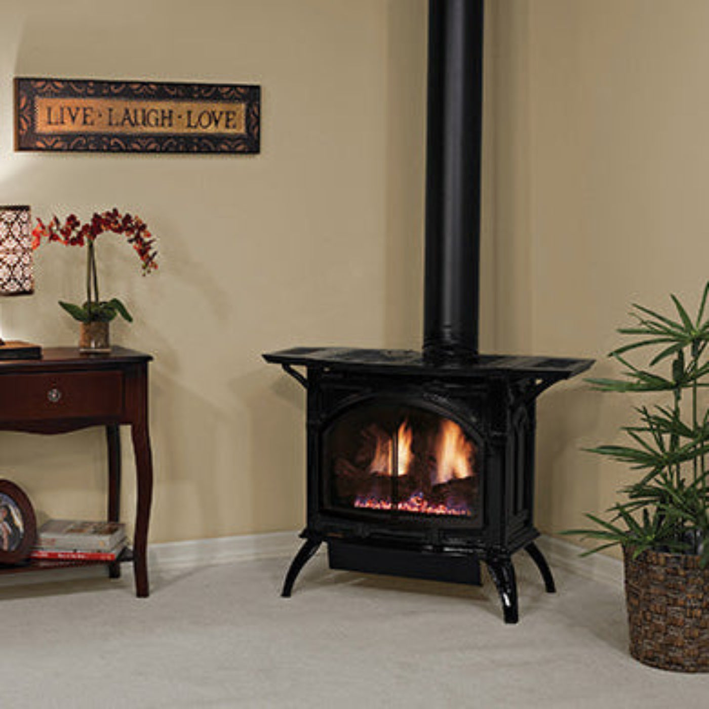 Empire Cast Iron Spirit Stove Freestanding Direct Vent Gas Stove | Medium - DVP30CC30FN