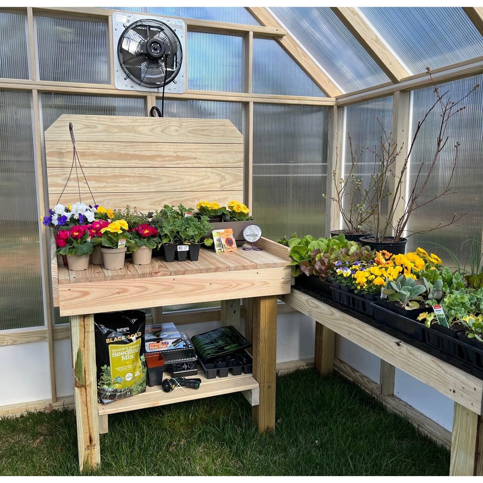 8 x 20 Greenhouse - Backyard Provider