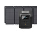 EcoFlow DELTA mini + 220W Solar Panel - DELTAMINI-SP220W-1-US