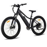 Surface 604 500W Shred XS Electric Bike - EB-SHRED-XS-14