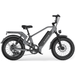 G-Force 750W 48V RS Premium All Terrain Fat Tire Electric Bike - EB-GF-RS-BLK