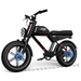 G-Force 750W ZM Fat Tire Electric Bike - EB-GF-ZM-13.5